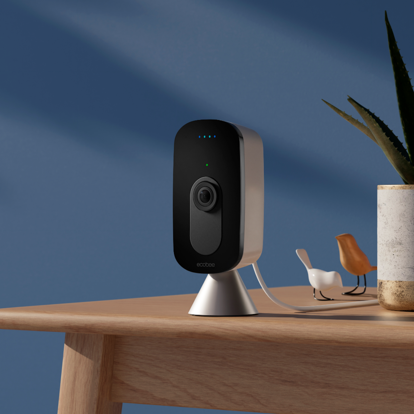 SmartCamera with voice control