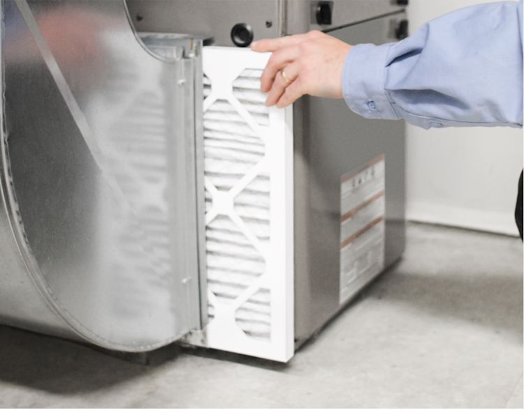 eamberlaneway Air Filters 4