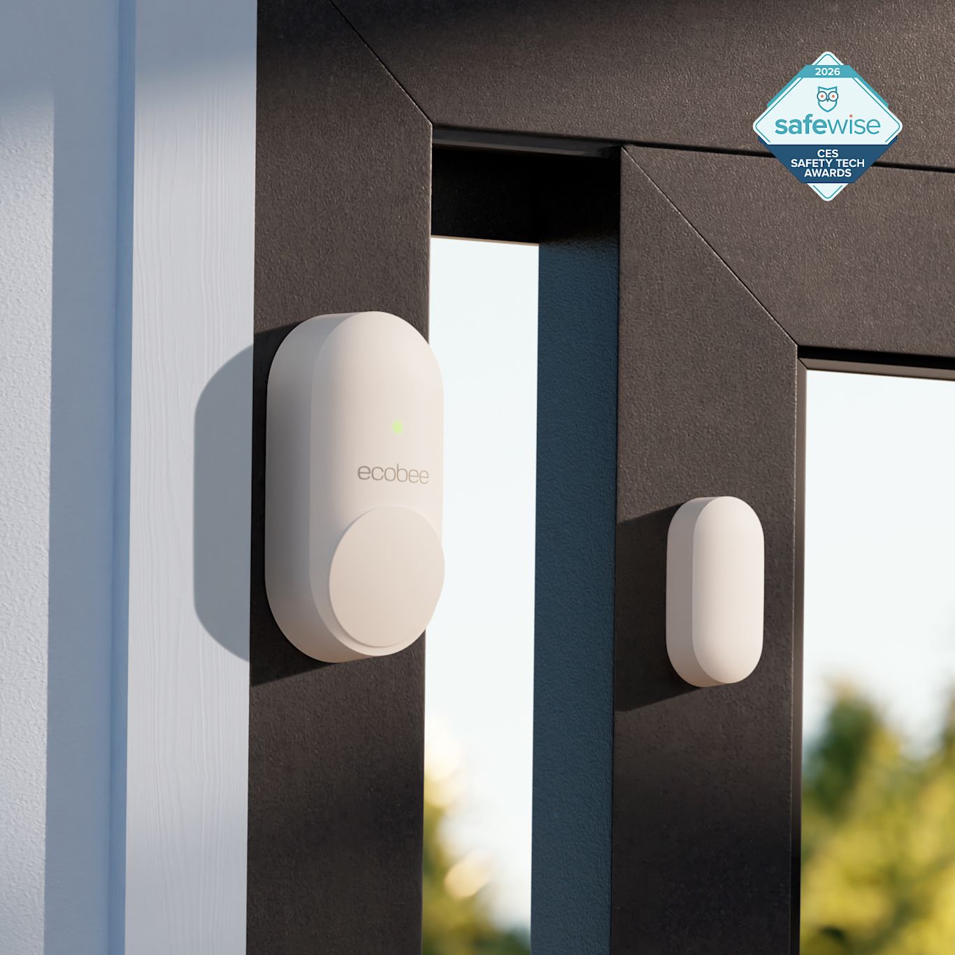 SmartSensor for doors and windows 2 pack